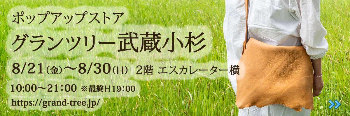 20260821_musasikosugi.jpg